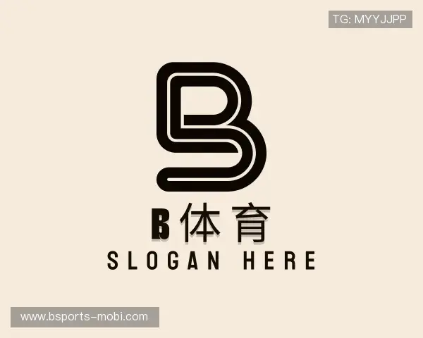 解读B体育官方网站